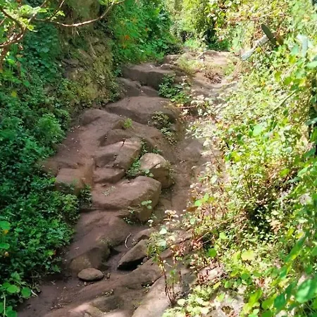 بيت للعطل La Cabanita *