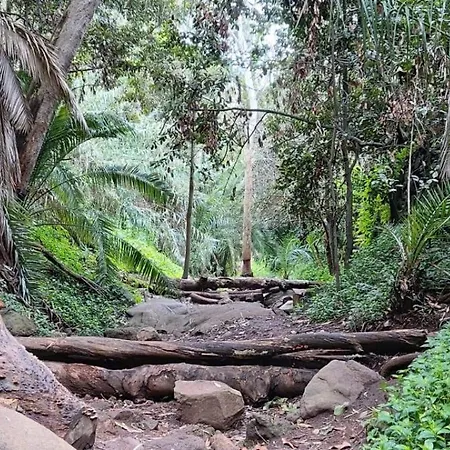 La Cabanita بيت للعطل *