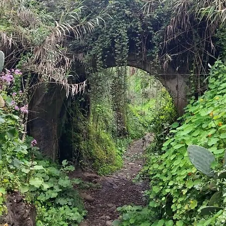 La Cabanita *